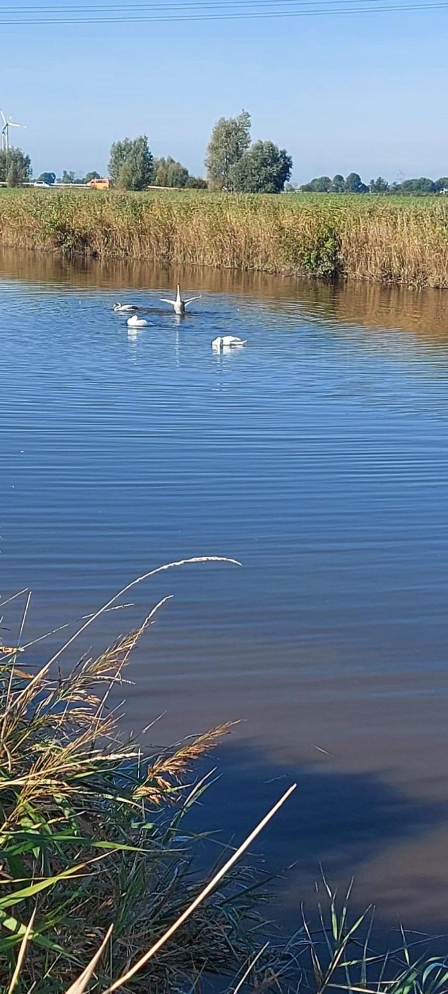 Haus Am Wasser Stadland