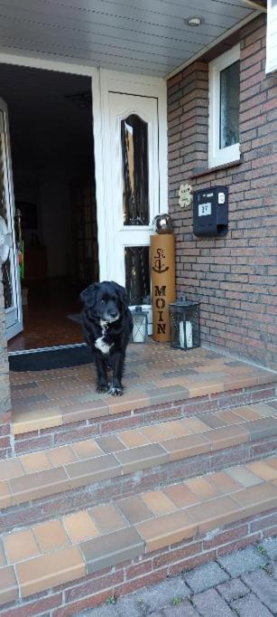 Haus Am Wasser Apartment *
